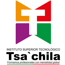 Voto Telemático logo